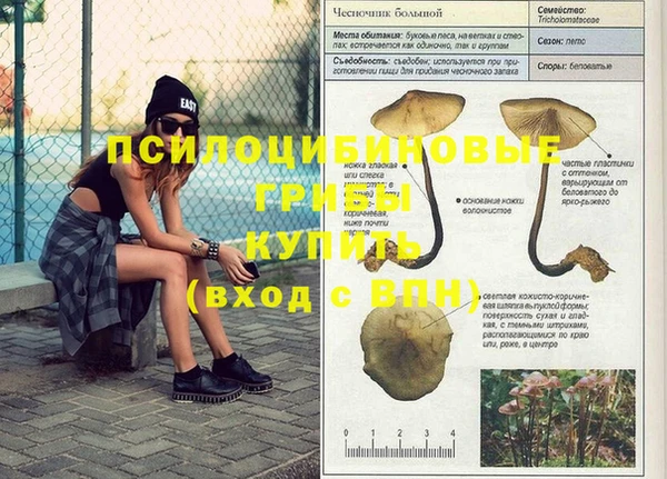 mix Арсеньев