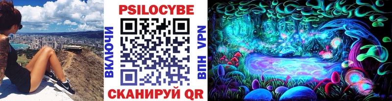 Псилоцибиновые грибы Psilocybine cubensis  Тутаев 